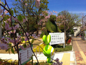 練馬区立美術館の庭園の桜